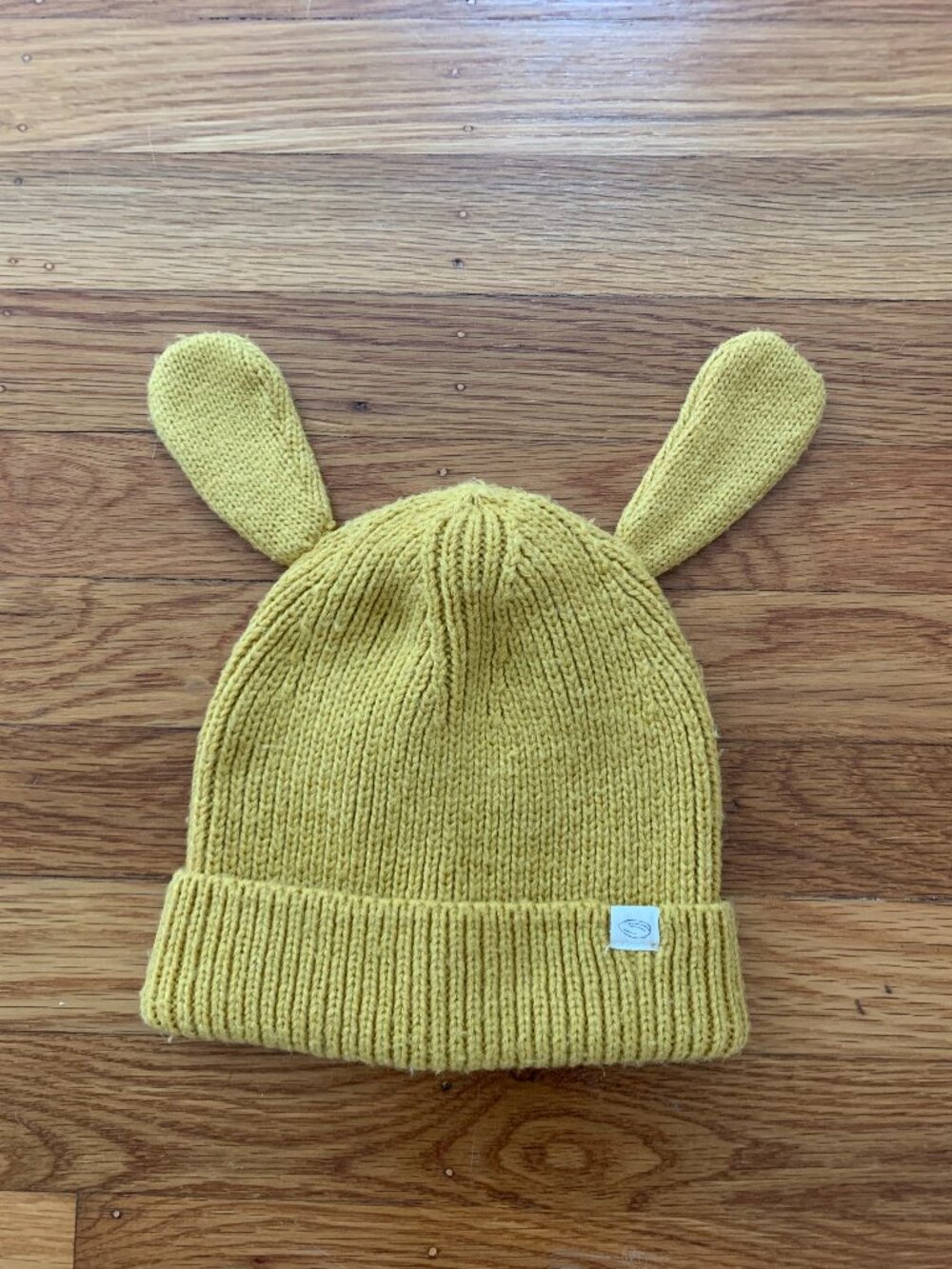 Toddler Beanie with Ears